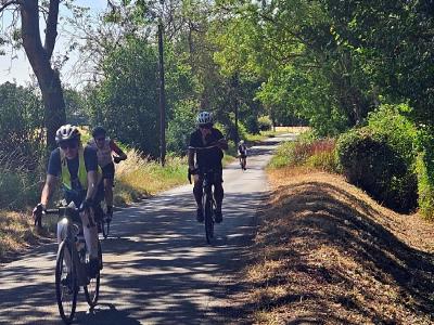 Tom Jackson (nearest the gully) on the way to Haddenham Four cyclists ride along sun-dappled rural road lined with trees; lead rider wears yellow safety vest over blue shirt, golden crop field on left, shadows from overhead trees on pavement.