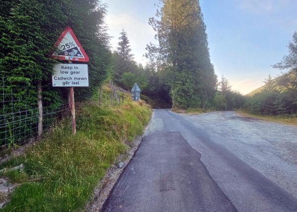 Steep hill warning sign showing 25 percent gradient with bilingual text Keep in low gear Gadwch mewn gear isel beside tree-lined country road curving into conifer forest.
