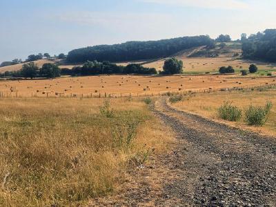 In the heart of the Malvern Hills, Herefordshire. Gravel track cutting through golden summer pasture dotted with hay bales, rolling woodland hills rising in background under pale blue sky.
