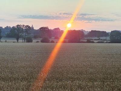 Early morning sun, Puddlicott Lane, Gloucestershire Low sun casting strong diagonal lens flare across harvested wheat field at dawn with silhouetted hedgerow trees on horizon.