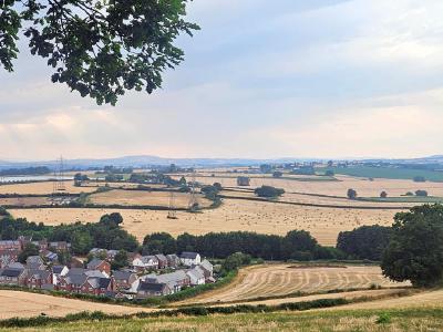 Looking down over Lea, Herefordshire Elevated view over village with clustered houses surrounded by patchwork fields and hedgerows, tree branches framing top edge, distant hills visible on horizon under pale blue sky.