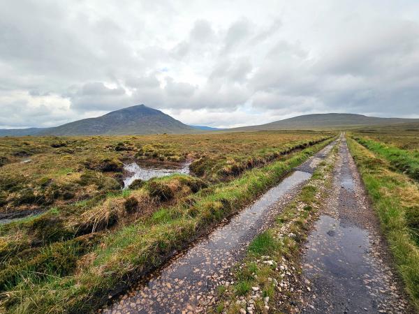 A rugged single-lane gravel track stretches into the distance across a windswept moorland, with a prominent mountain rising in the background under a cloudy sky. Pools of water and lush green moss line the track.