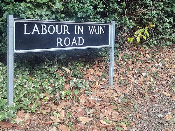 Black rectangular street sign with white lettering reading &lsquo;Labour in Vain Road&rsquo;, mounted on silver metal posts amid ivy and scattered autumn leaves on a grass verge.